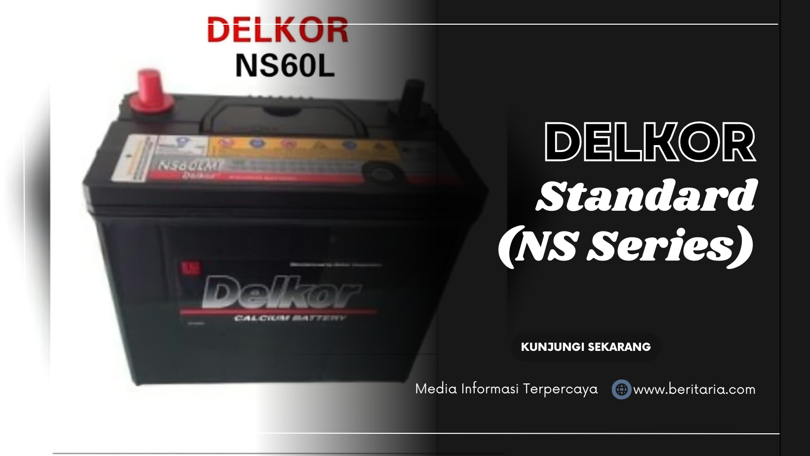 Beritaria.com | Delkor Standard (NS Series)